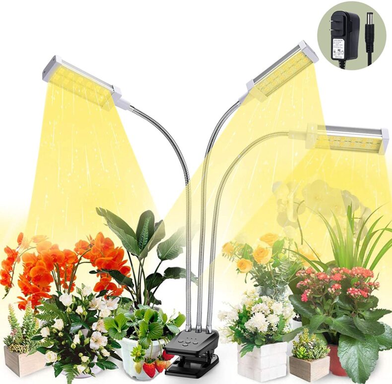7 Best Desk Lamp for Plants 2024 Review and Buying Guide